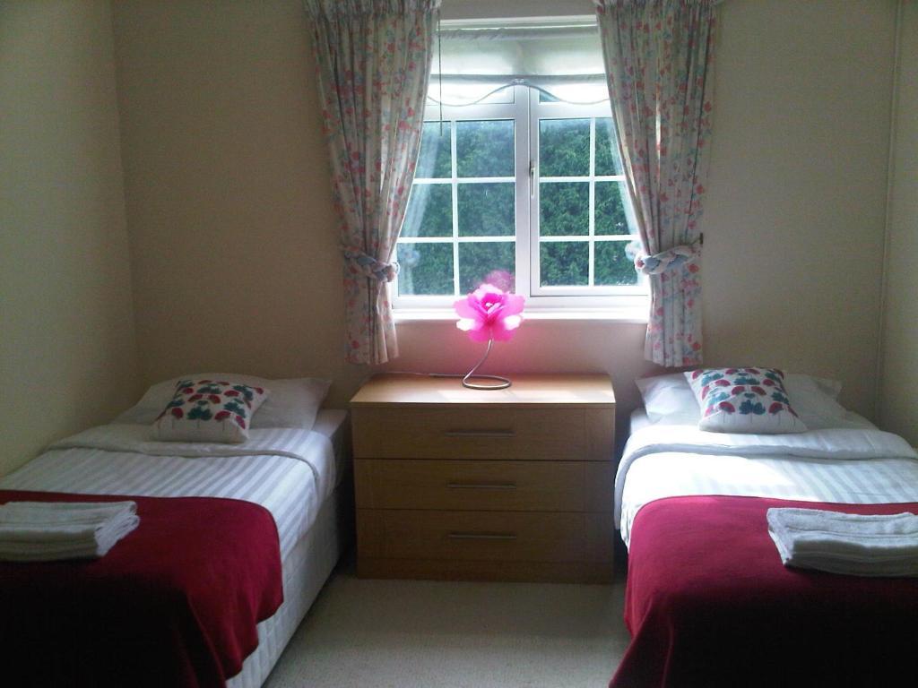 Hotel Plumpton House à Ashford  Extérieur photo